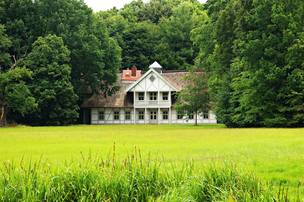 Idyllic countryside house amidst vibrant greenery in summer.